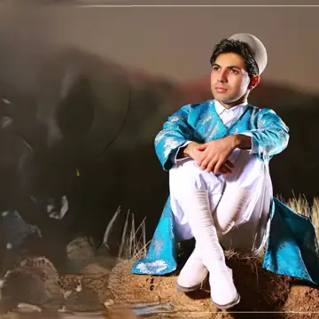 کاور آهنگ Robab از Ali Yekta