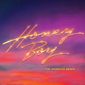 کاور آهنگ Honey Boy از پرپل دیسکو مشین
