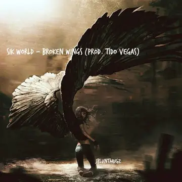 کاور Broken Wings