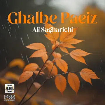 کاور آهنگ Ghalbe Paeiz از Ali Sagharichi
