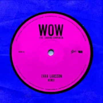 کاور آهنگ WOW (Remix) از زارا لارسن