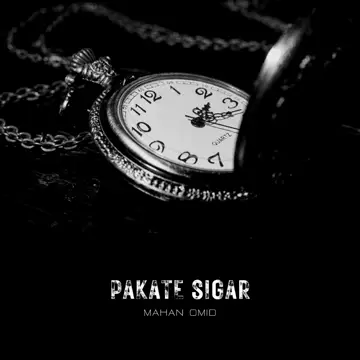 کاور آهنگ Dooset Daram از Mahan Omid