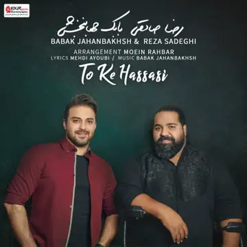 کاور آهنگ To Ke Hassasi از بابک جهانبخش