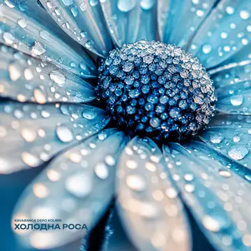 کاور Холодна роса - Single