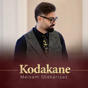 کاور آهنگ Kodakane از Meisam Shekarisaz