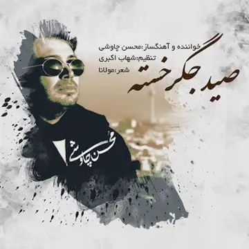 کاور آهنگ Seid Jegar Khasteh از محسن چاوشی