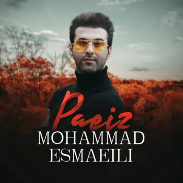 کاور Paeiz - Single
