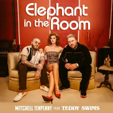 کاور آهنگ Elephant in the Room از تدی سویمز