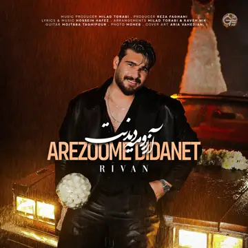 کاور آهنگ Arezoome Didanet از Rivan