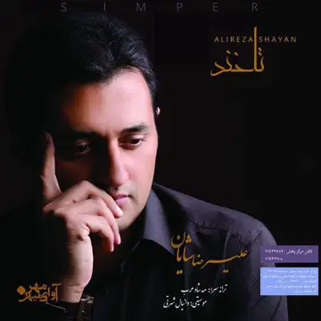 کاور آهنگ Do Nafareh از Alireza Shayan