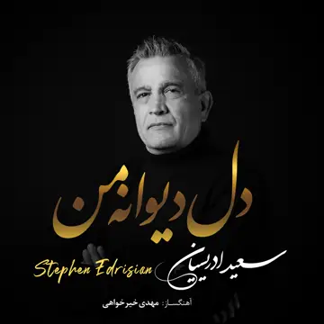 کاور Dele Divaneye Man - Single