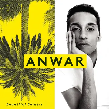 کاور آهنگ How Can I Do از Anwar