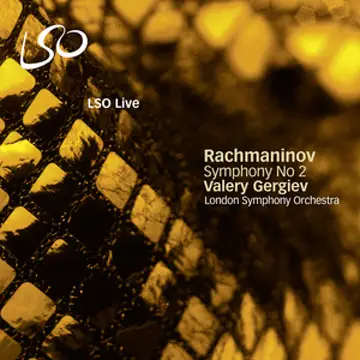 کاور آهنگ Symphony No. 2: IV. Allegro Vivace از سرگئی راخمانینف