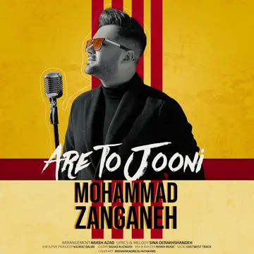 کاور Are To Jooni - Single