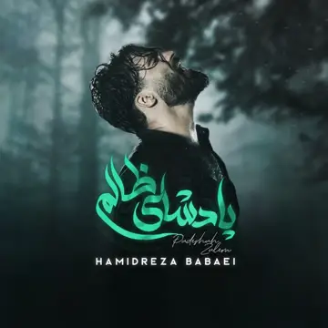 کاور Padeshay Zalem - Single