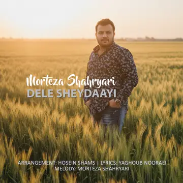 کاور Dele Sheydaayi - Single