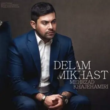 کاور آهنگ Delam Mikhast از Mehrzad Khajeh Amiri