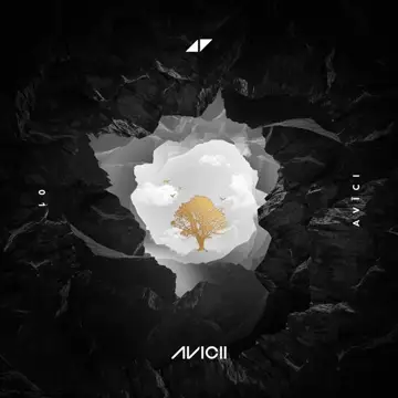 کاور آهنگ Lonely Together (Alan Walker Remix) از آویچی
