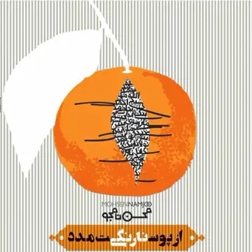 کاور آهنگ Roo Dast Layla از محسن نامجو