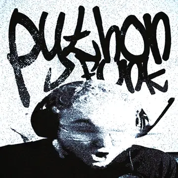کاور PYTHON FUNK - Single